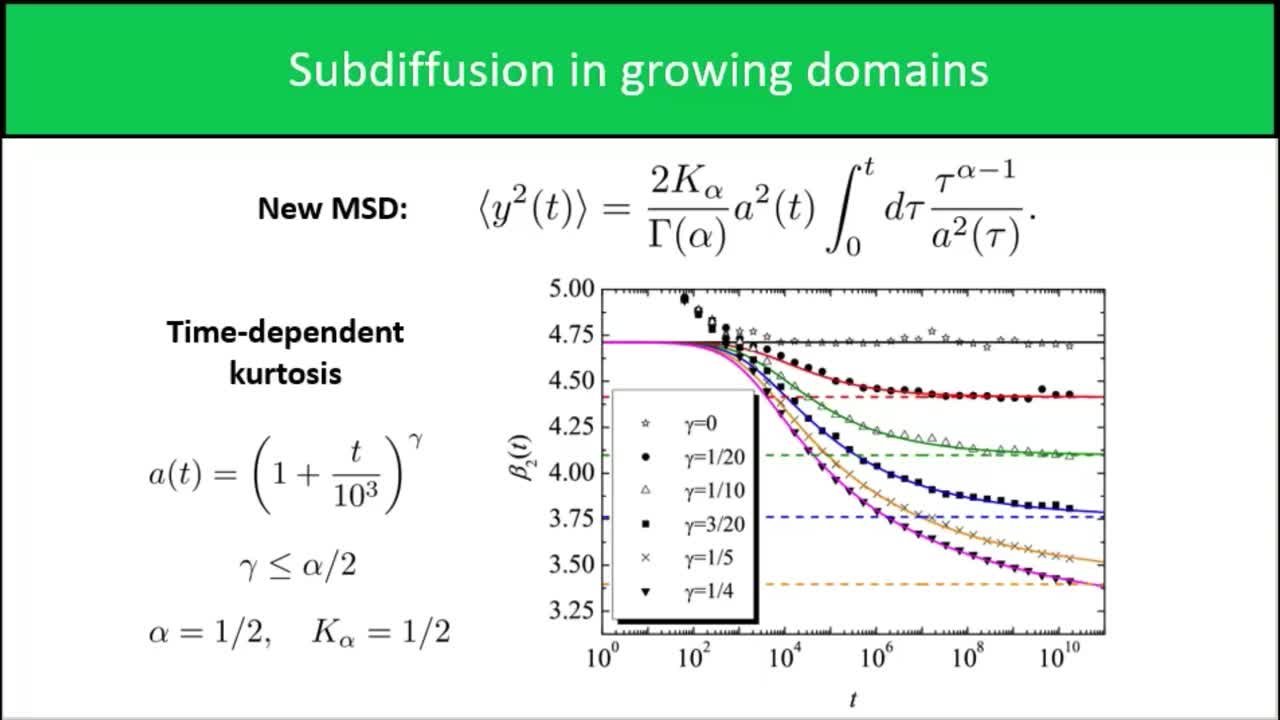 Continuous time random walk in a velocity field: role of domain