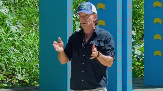 Survivor 49