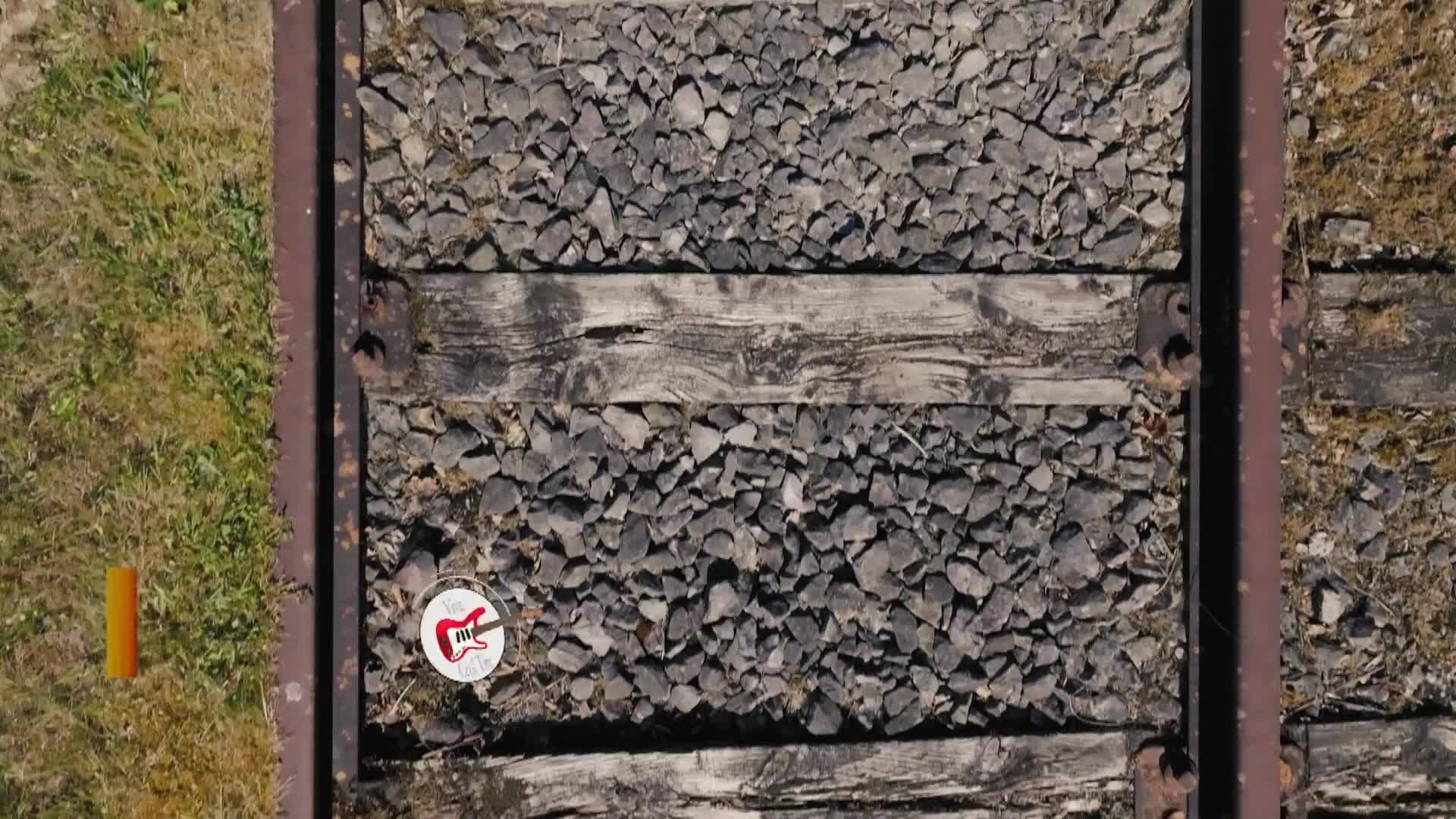 Viva Ceol Tíre