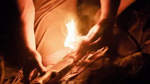 Survivor 49