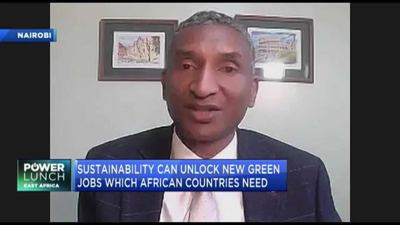 Driving Africa’s sustainability agenda critical for just green transition