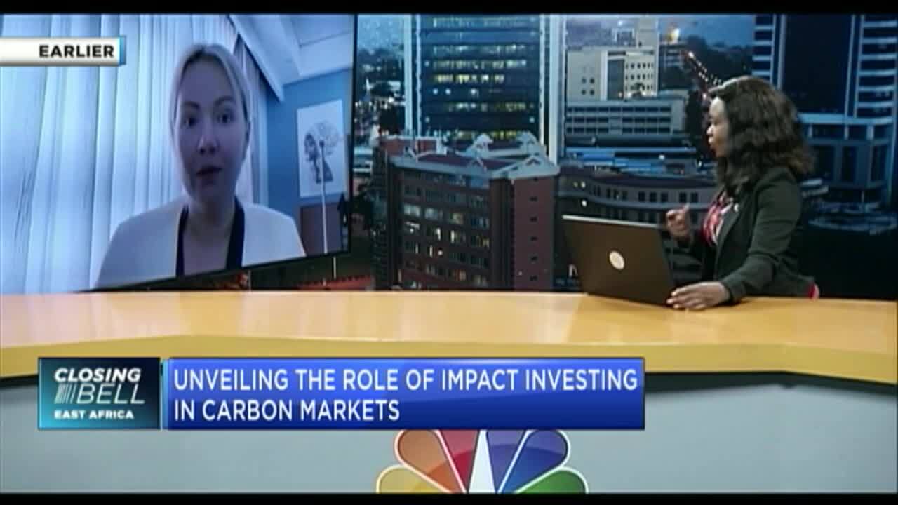 Unveiling the role of impact investing in carbon markets