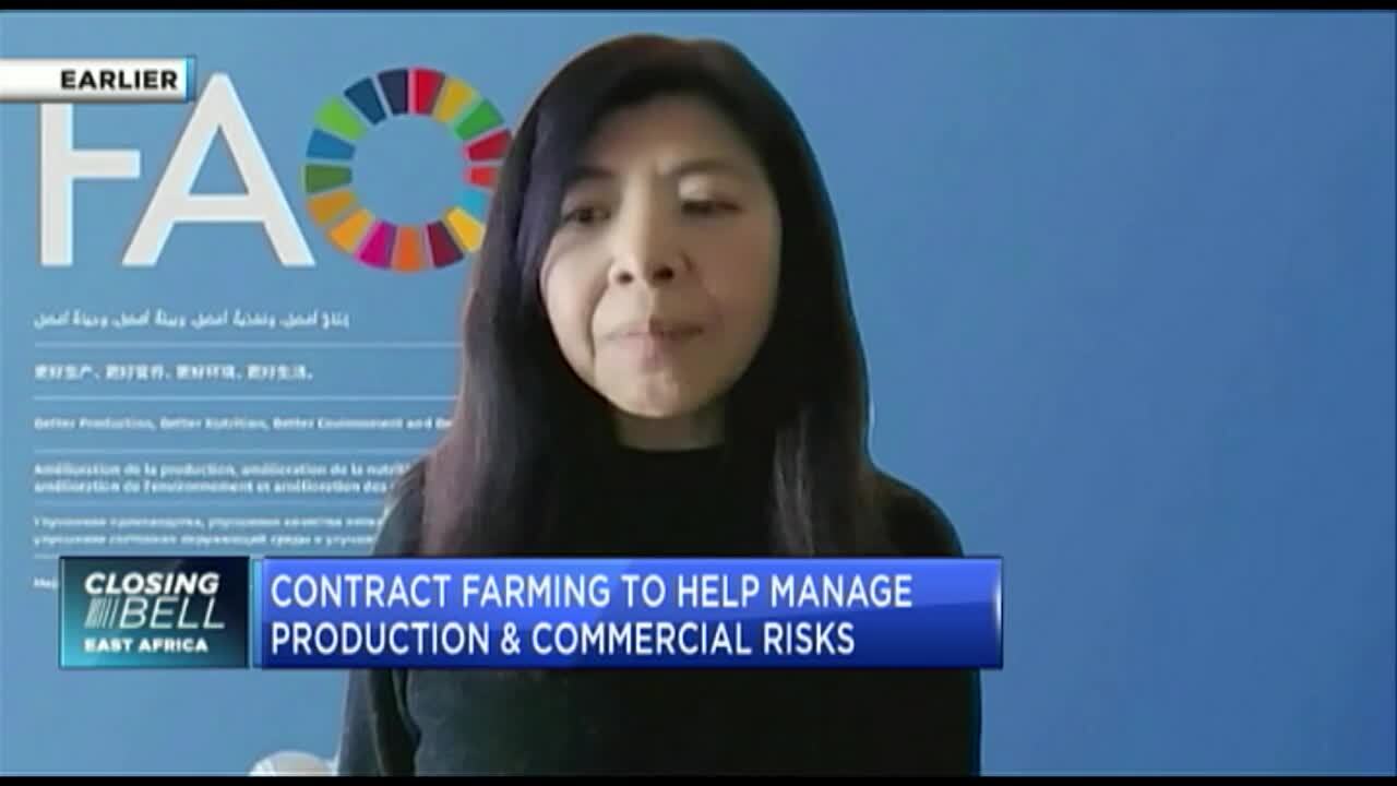 Why contract farming can be Africa’s silver bullet towards food security