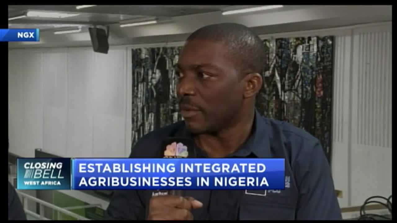 Establishing integrated agribusinesses in Nigeria