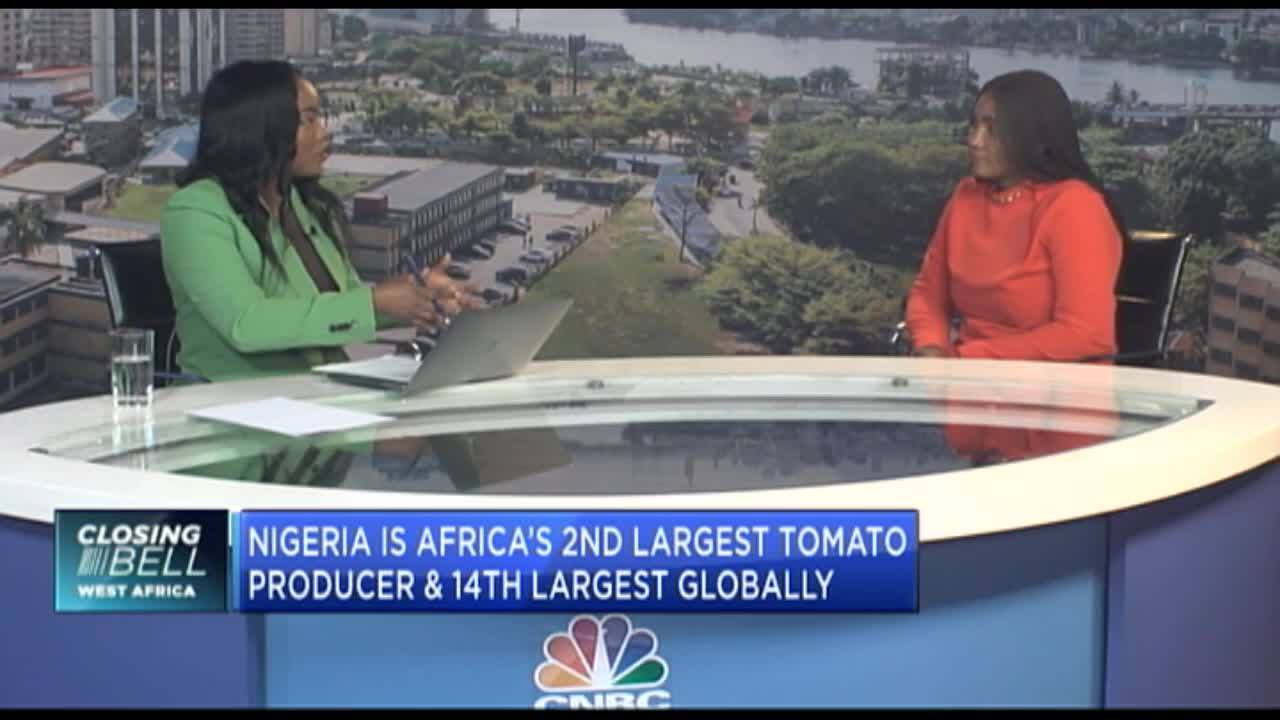 Understanding tomato pricing dynamics in Nigeria 
