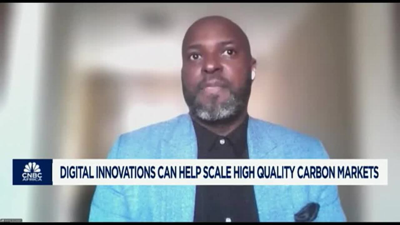 Carbon markets key to cracking Africa’s financing gap