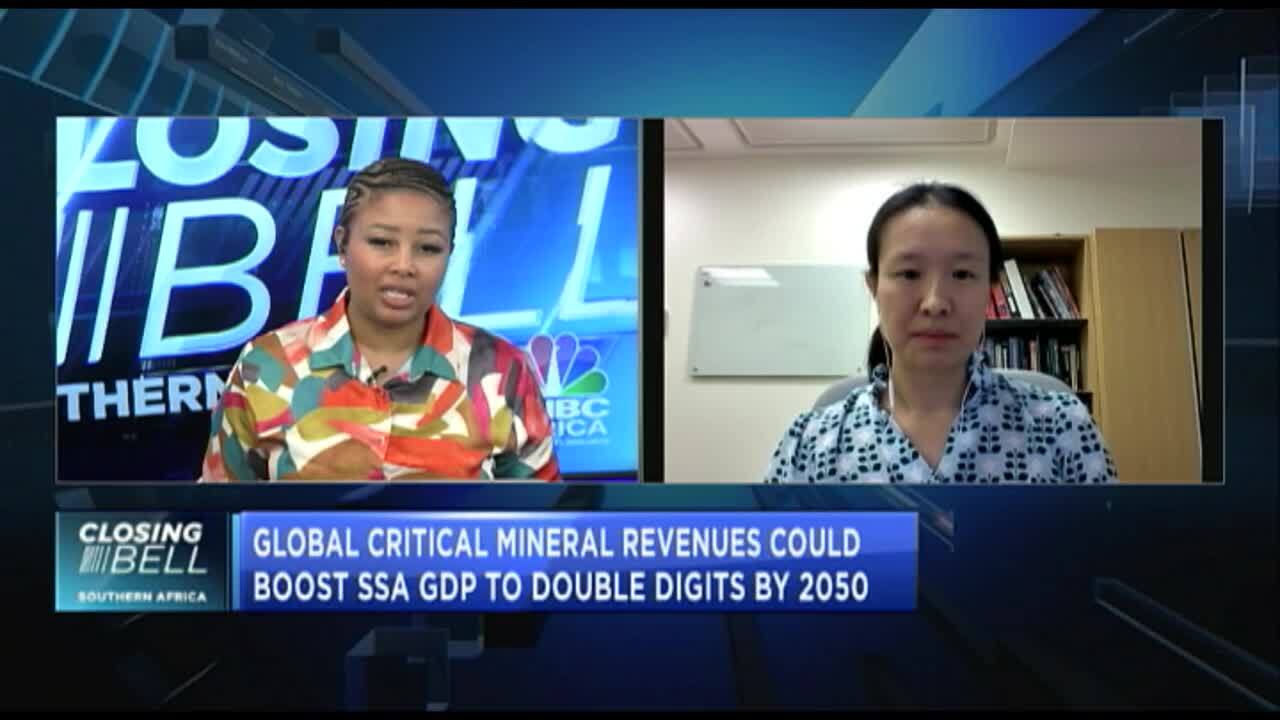 IMF calls for regionally coordinated policies on mineral production