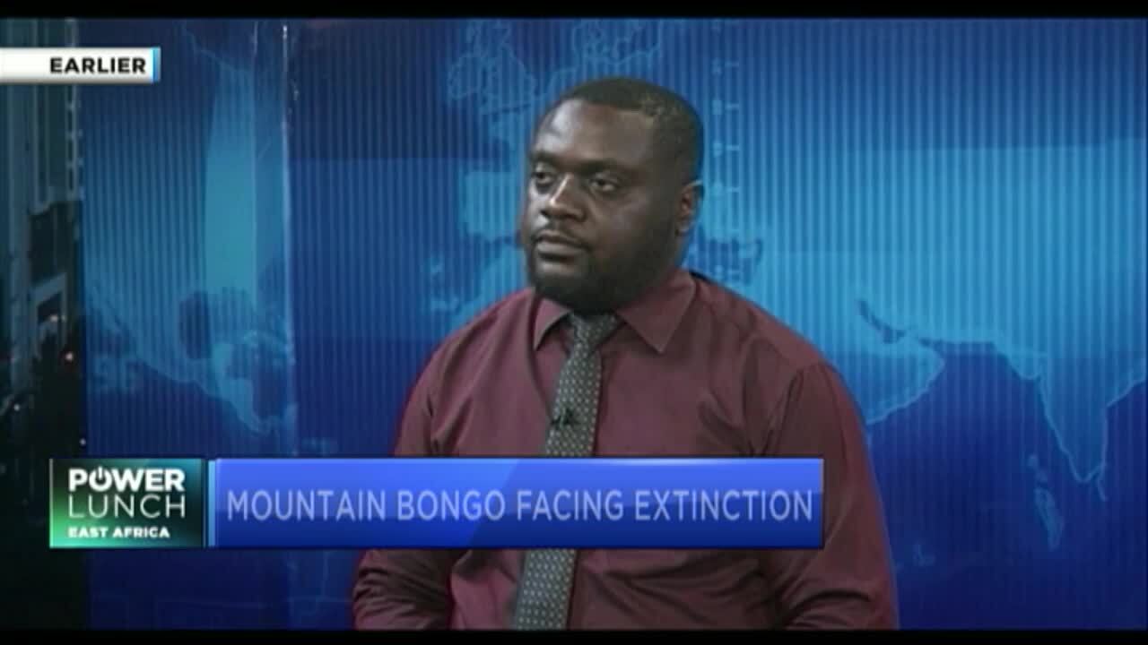 Advancing sustainable conservation to protect Africa's tourism future