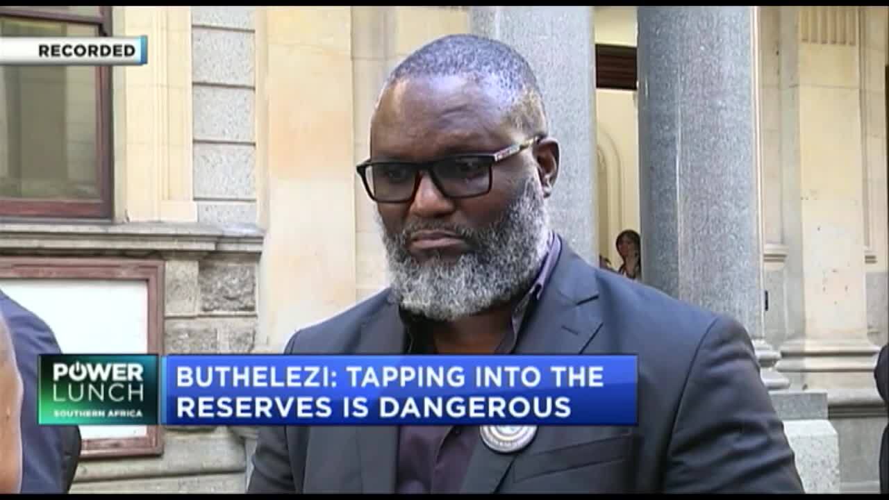 Budget 2024: Buthelezi: We can’t eat from our future