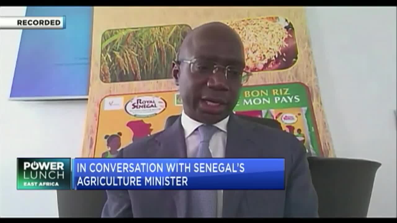 Senegal Agriculture Minister Diagne outlines roadmap to food security by 2029