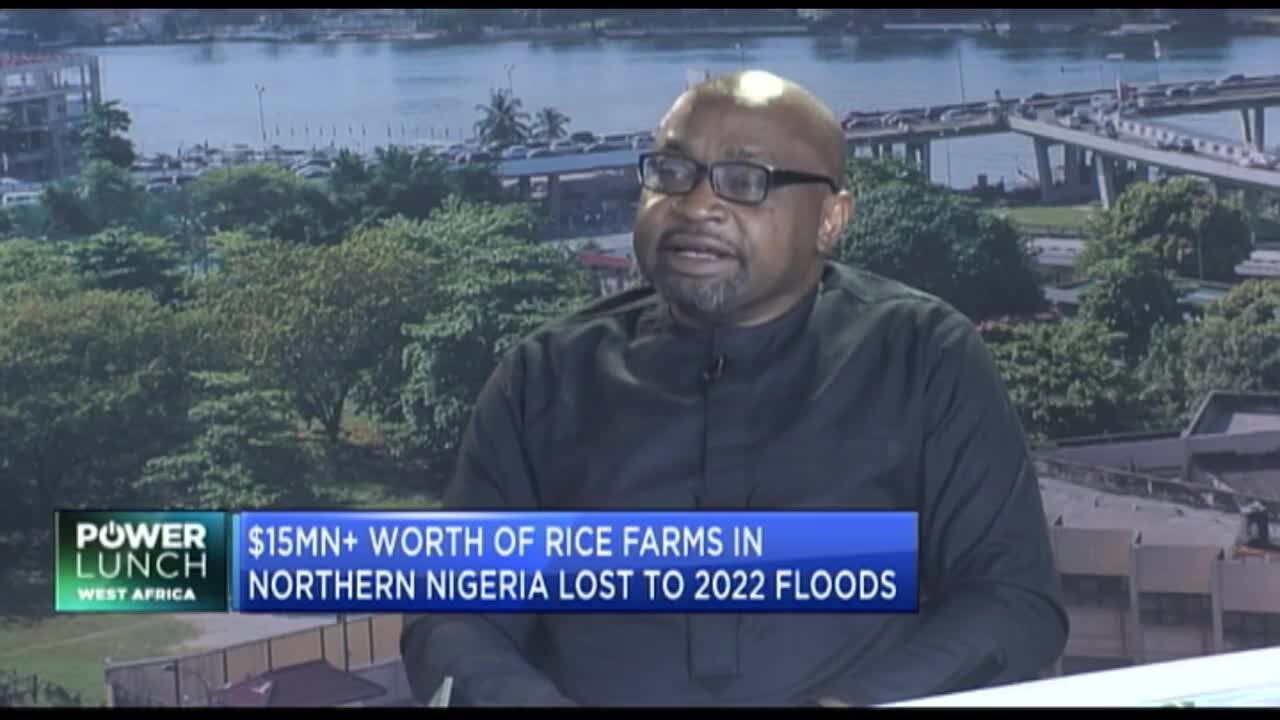 How floods may impact 2024 rice harvest in Nigeria