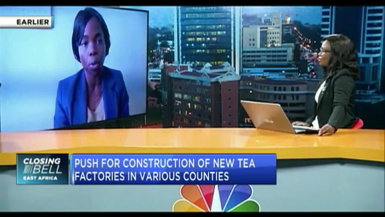 Kenya's tea export volumes surge 19% in Q1'24