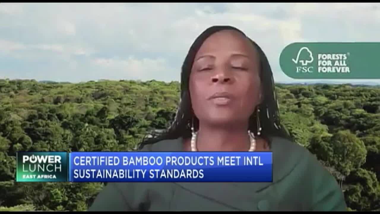 Ethiopia’s bamboo certification to transform forestry, global markets