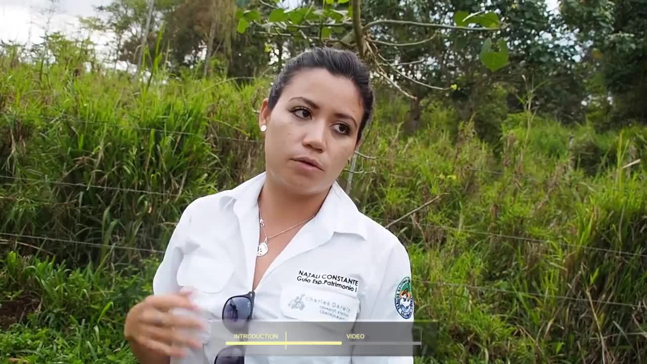 Ecotourism | Oxford Research Encyclopedia of Environmental Science