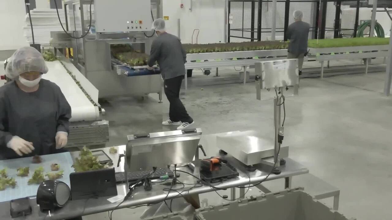 80 Acres Farms Vertical Farming - Siemens US