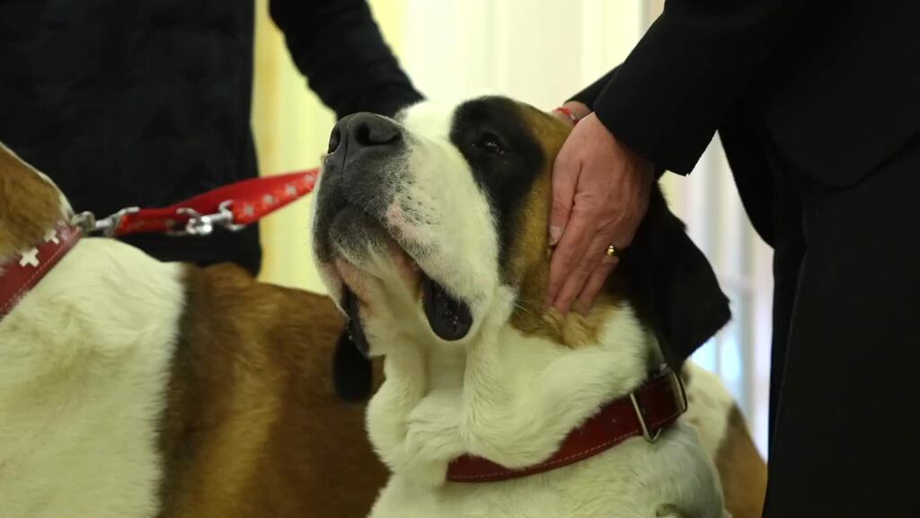 Patenhund Zeus empfängt frischgewählte Bundespräsidentin