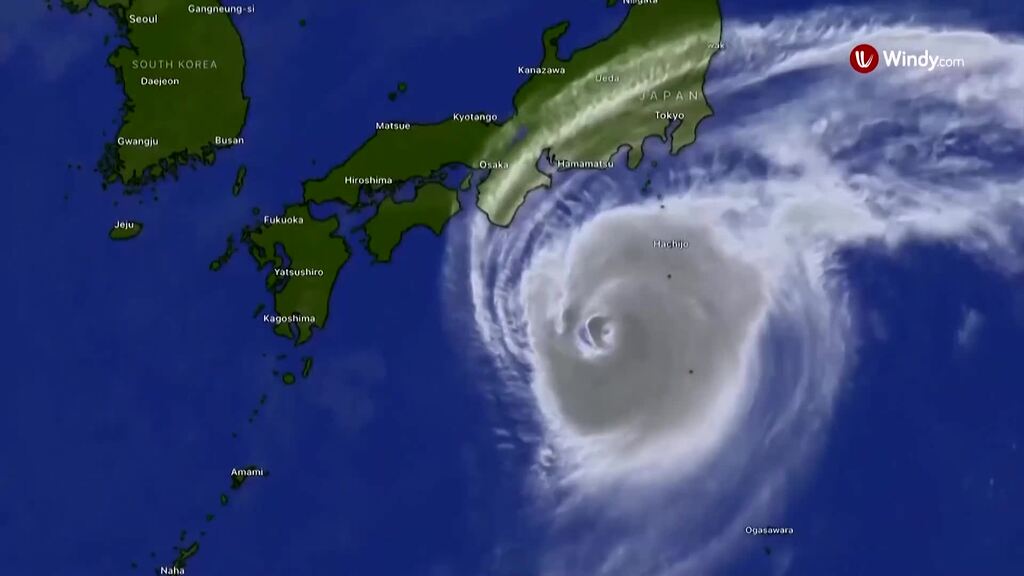 Taifun Halong trifft auf japanische Izu-Inseln