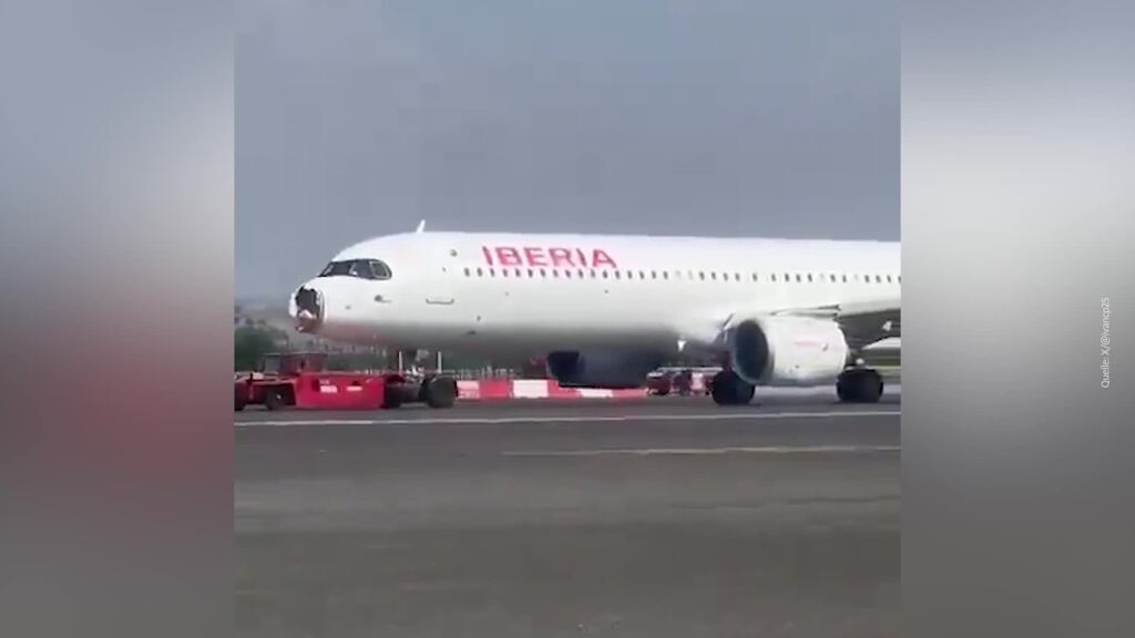 Brandneuer Airbus kracht in Geier – Flugzeug muss notlanden