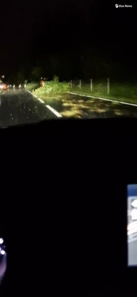 Umgestürzte Bäume blockieren Strasse in Cham ZG