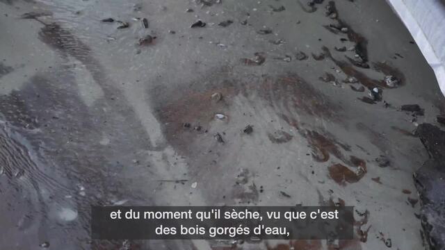 Une pirogue vieille de près de 2500 ans découverte à Grandson (VD)