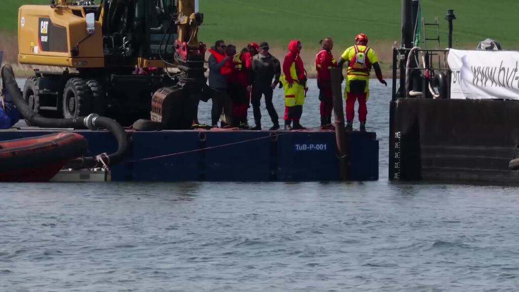 Wal schwimmt in Transportschiff – Reise steht bevor