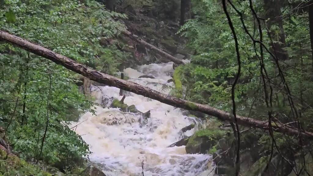 Regen ohne Ende: Nachbarländer rüsten sich vor Hochwasser