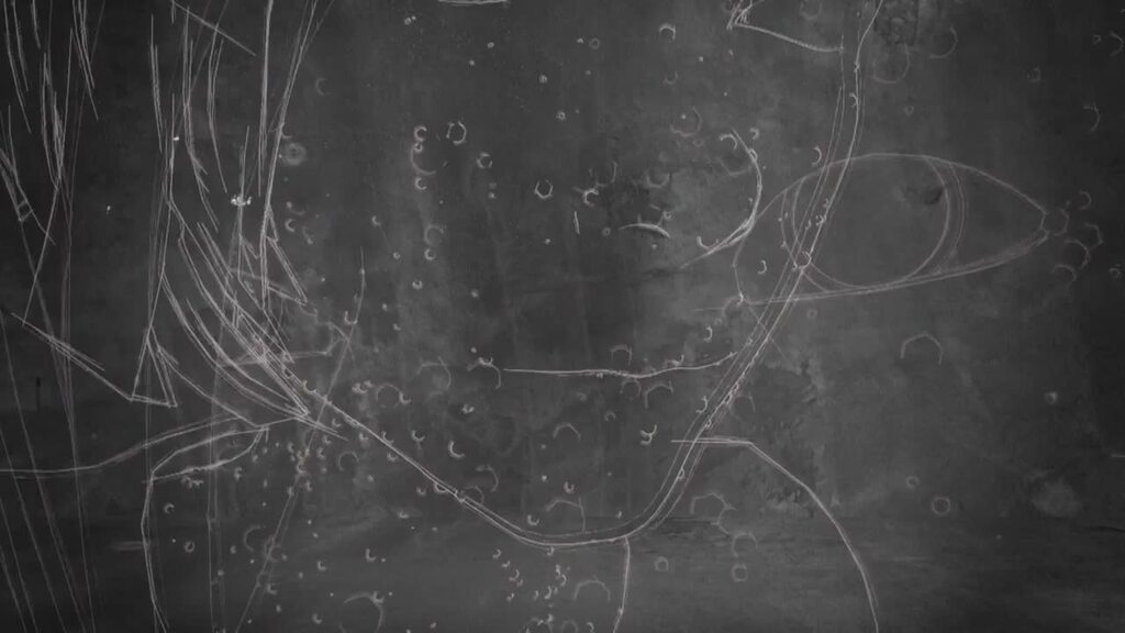 Videografik: Affenpocken – Wissenswertes zur Virus-Erkrankung