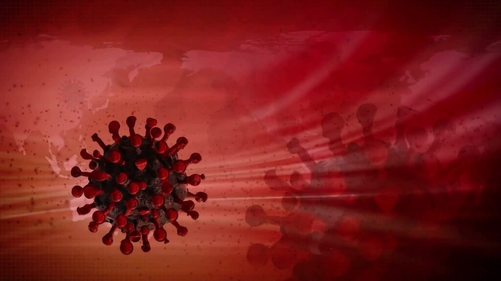 BND-Indizien zu Corona: China mahnt zur Zurückhaltung