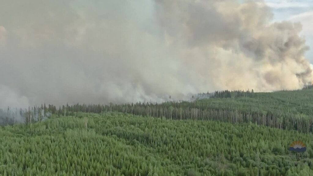 Waldbrände in Kanada: Ausmass der Schäden auf Rekordniveau
