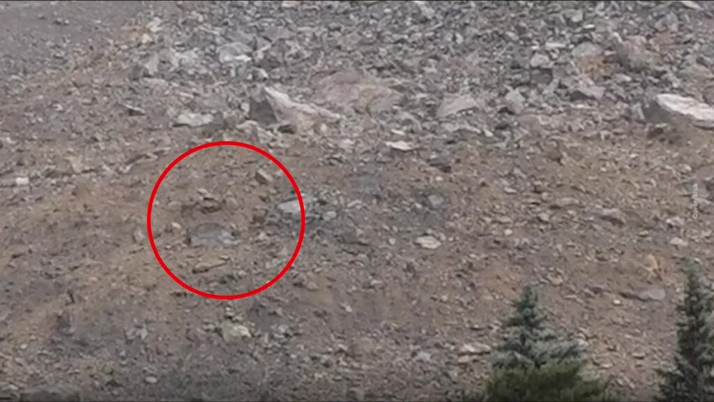 Wer wandert denn da auf dem Schuttberg?