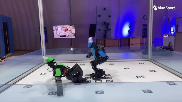 Diese Roboter kämpfen für dich