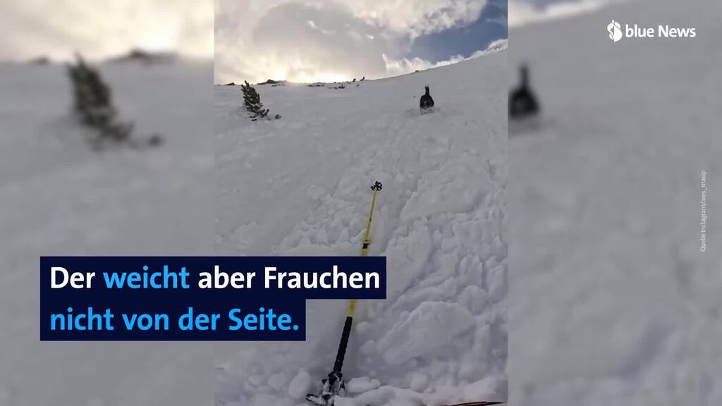 Skifahrerin wird mit ihrem Hund von Lawine mitgerissen