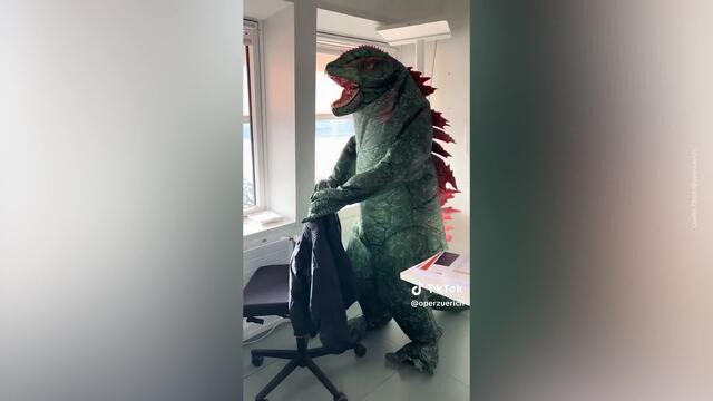 Timothée Chalamet über die Oper