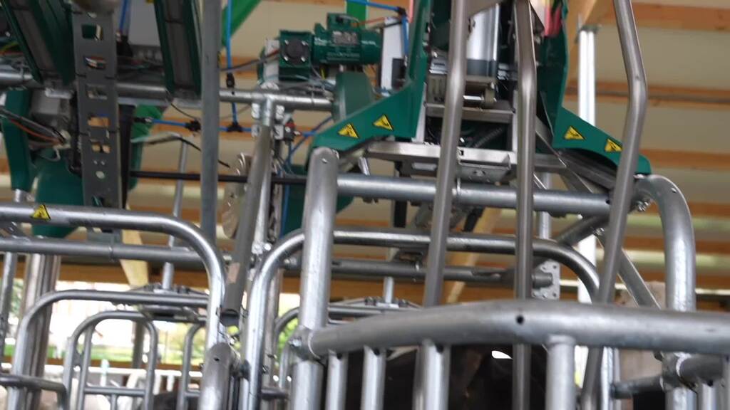La première toilette pour vaches de Suisse est en service à Hellbühl (LU)