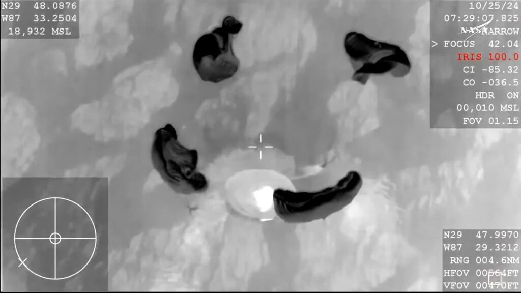 Vier ISS-Raumfahrer wieder auf der Erde gelandet – nach mehr als 230 Tagen