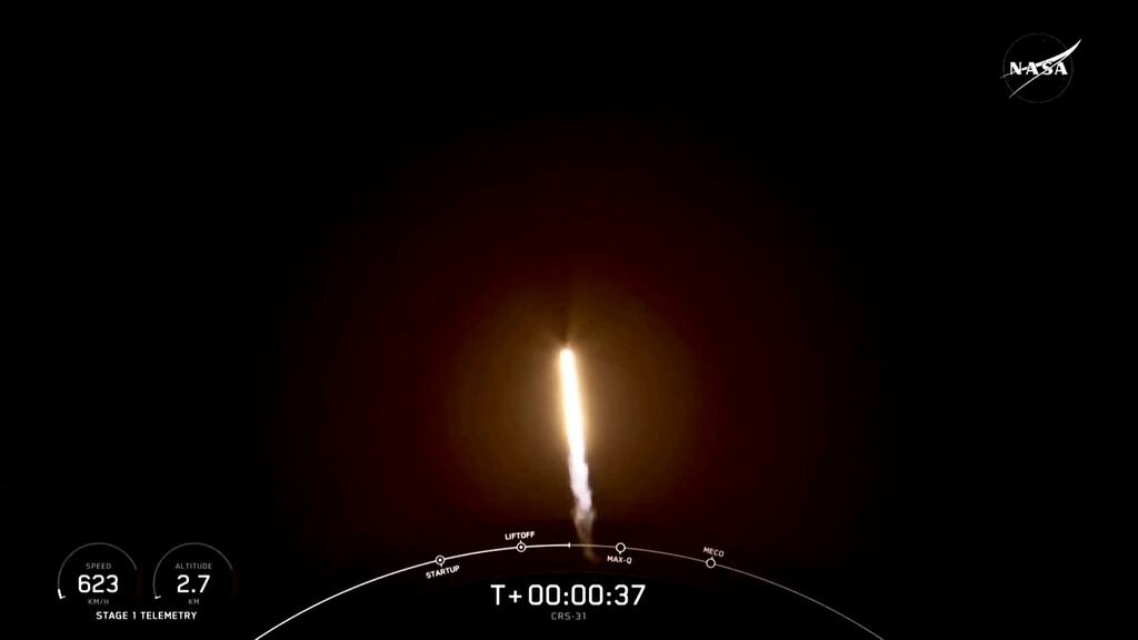 Holzsatellit ins All gestartet