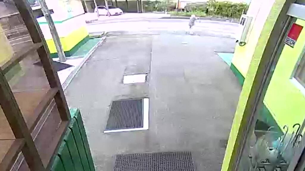 Riesenschreck beim Frühsport: Bär springt Frau an – und verschwindet wieder