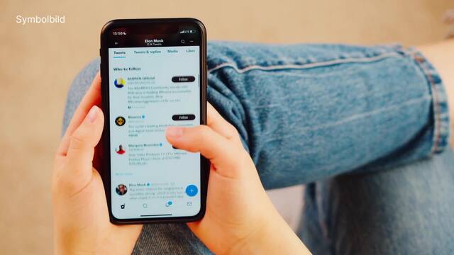 Musk lässt Twitter-Nutzer über seinen Chefstatus abstimmen 