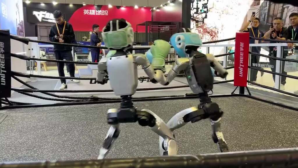 Besonderes Box-Duell: KI-gesteuerte Roboter kämpfen in Shanghai