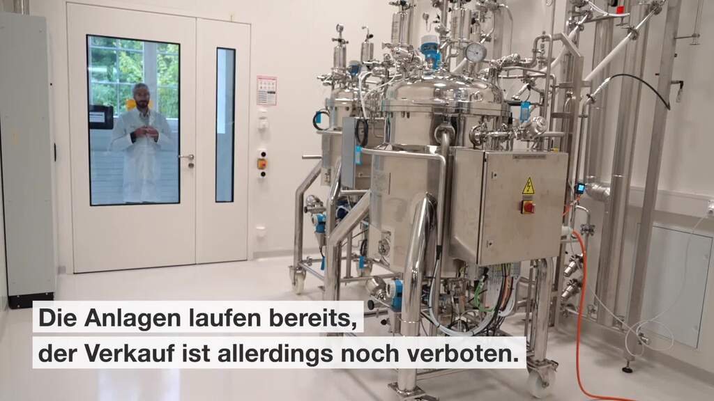 Israelische Firma baut Laborfleisch-Produktion in Kemptthal ZH auf