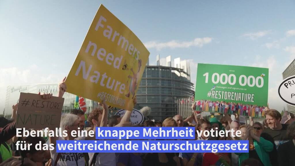 EU-Parlament stimmt für Renaturierungsgesetz