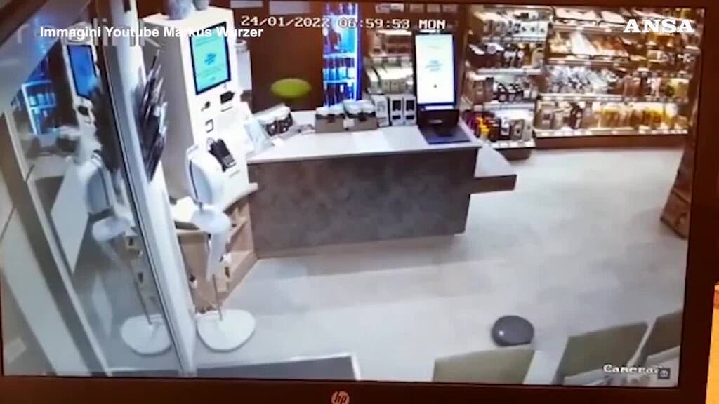 Hier entwischt «Fluffy» in die Freiheit.