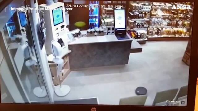 Hier entwischt «Fluffy» in die Freiheit.