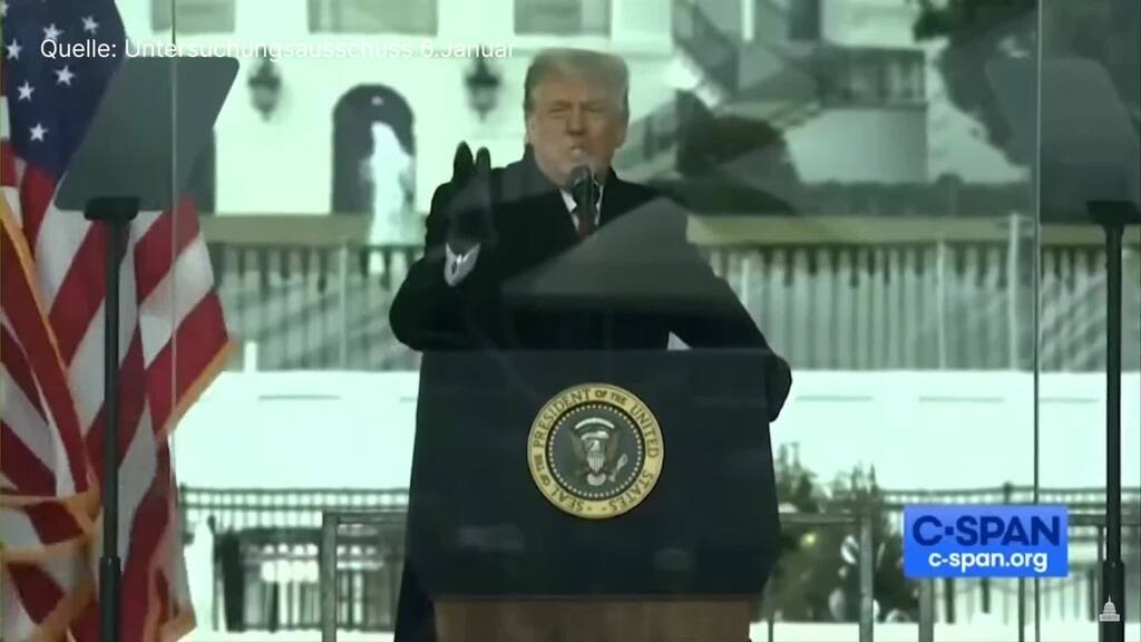 Er wusste von Waffen am 6. Januar: Zeugin belastet Trump schwer