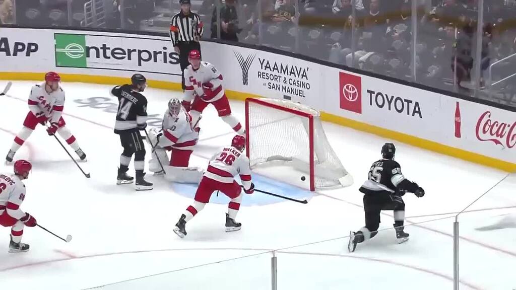 Fiala glänzt mit Tor und Assist