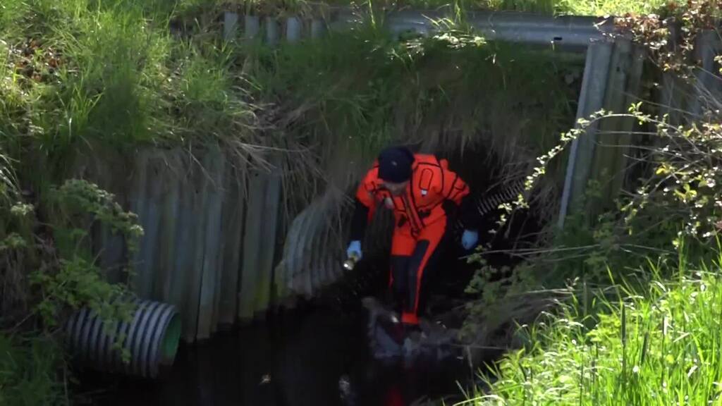 Arian weiter vermisst: Bisher grösste Suche mit Menschenkette gestartet
