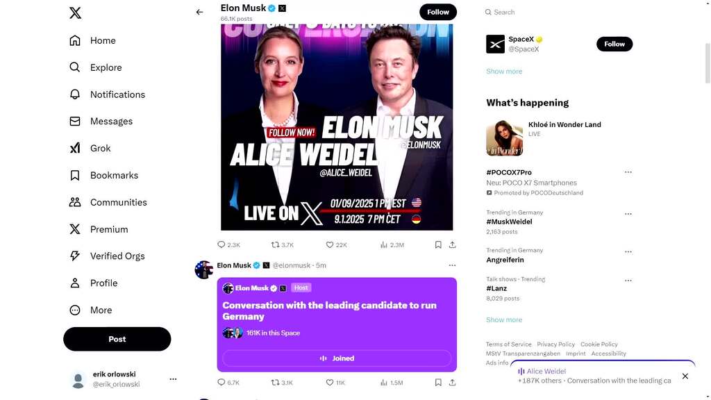 Weidel und Musk sprechen auf X