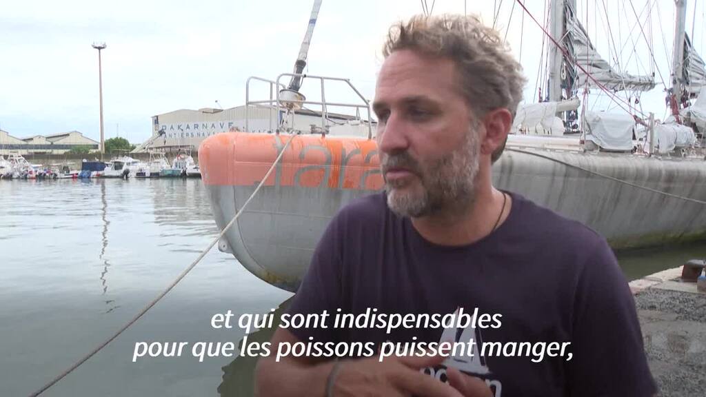 La goélette Tara sur le chemin du retour après deux ans de moisson de micro-organismes