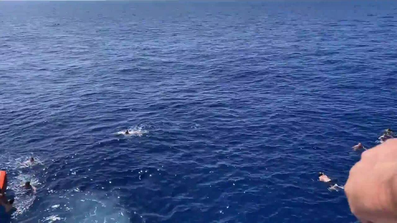 Coast Guard Watch Opens Fire After 8-Foot Shark Crashes Swim Call