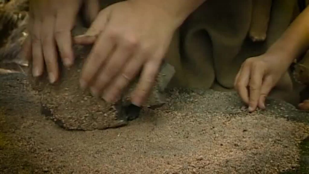 Homo Sapiens – moderna människan | Film och Skola